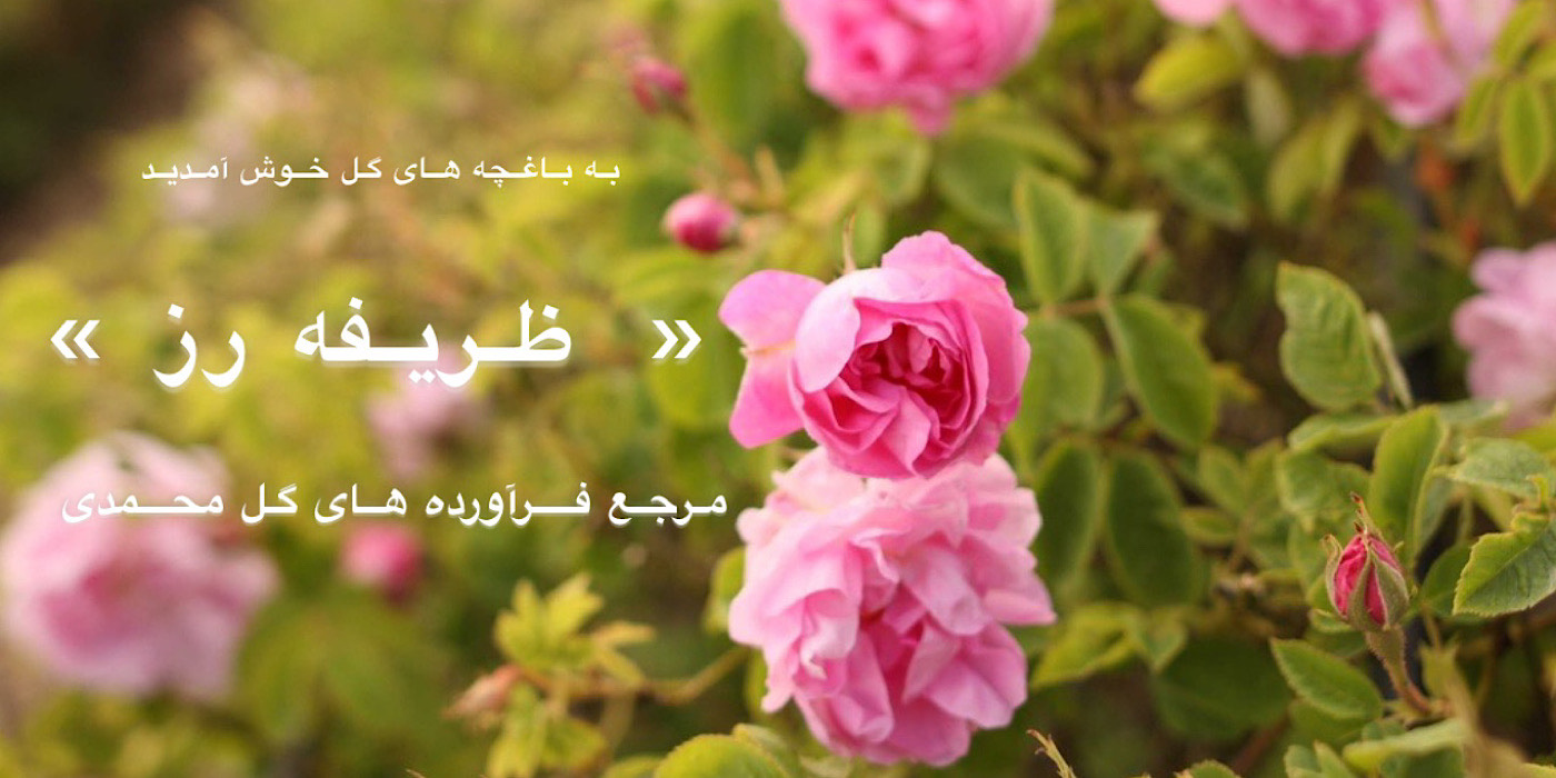 slide-image-undefined
